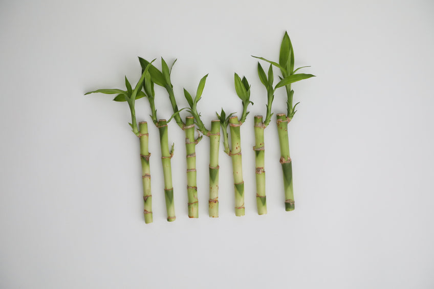 9 Reasons to Switch to Bamboo Diapers