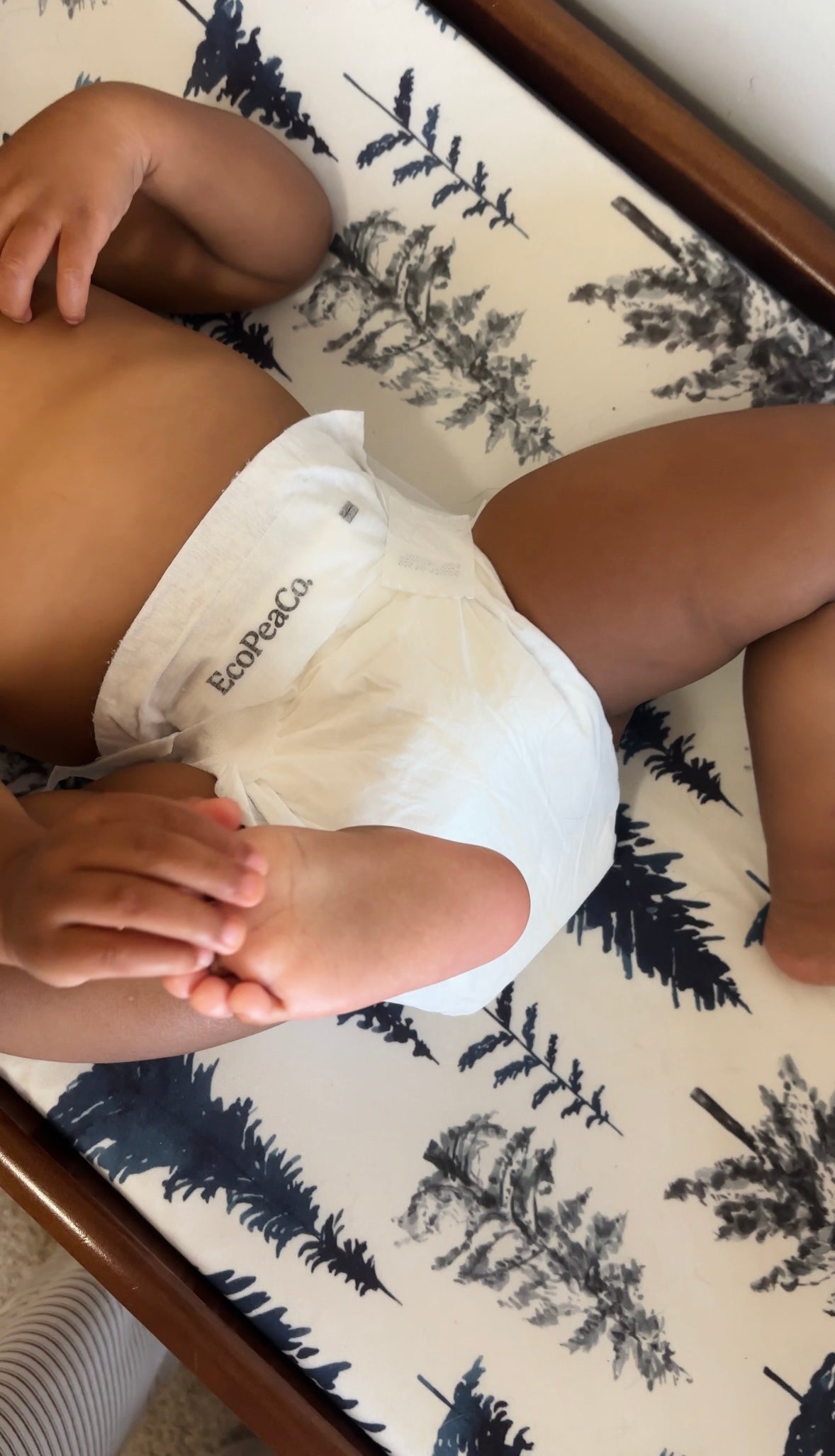 Cotton Enhanced Diapers - Box (NEW)
