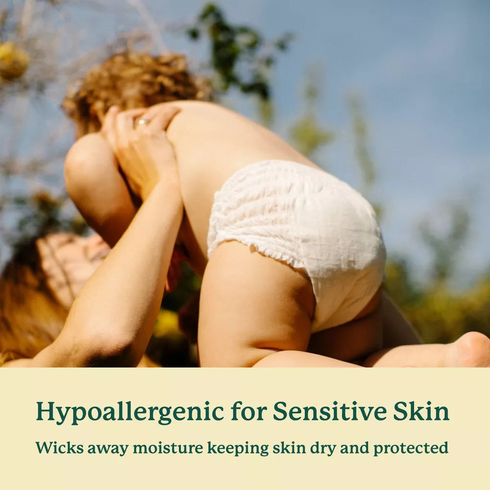 Bamboo Training Diapers - Box