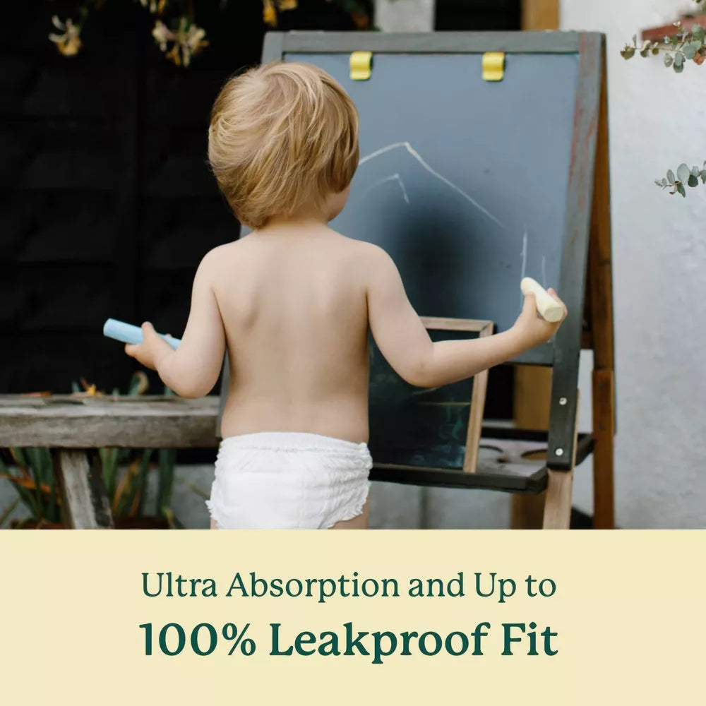 Bamboo Training Diapers - Box