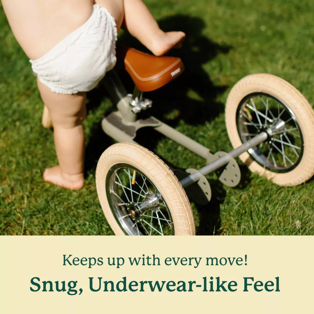 Bamboo Training Diapers - Box